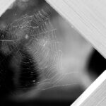 Mastering Internal Linking for SEO A Comprehensive Guide Image